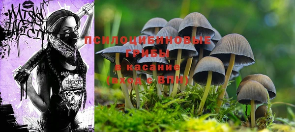 марки lsd Каменногорск