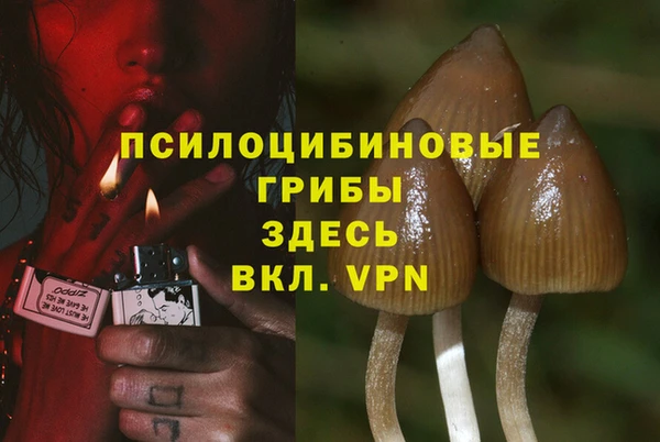 марки lsd Каменногорск