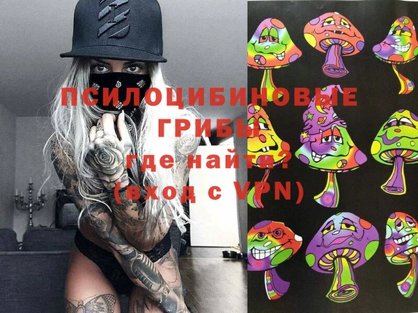 марки lsd Каменногорск