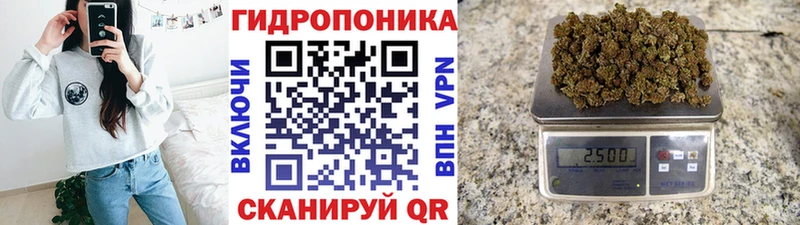Купить закладки  Воткинск  Шишки марихуана LSD WEED 